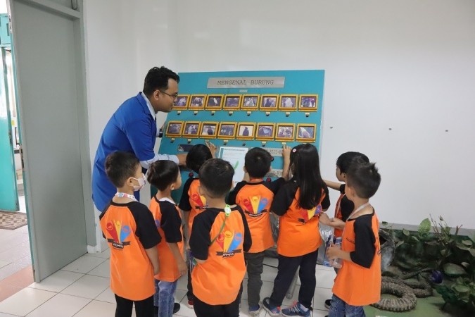 Mengenali aneka jenis burung