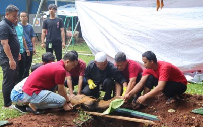 #nivo41m370Desc4 PEMOTONGAN HEWAN KURBAN